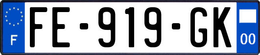 FE-919-GK