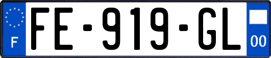 FE-919-GL