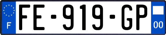 FE-919-GP