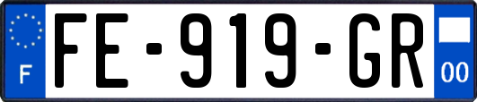 FE-919-GR