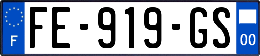 FE-919-GS