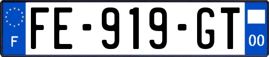 FE-919-GT