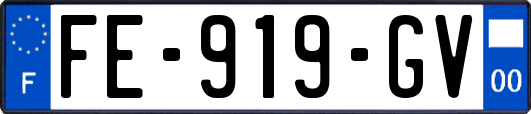 FE-919-GV