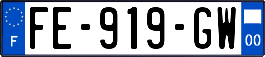 FE-919-GW