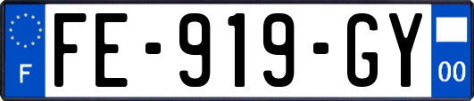 FE-919-GY
