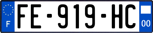 FE-919-HC