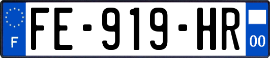 FE-919-HR