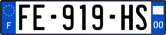 FE-919-HS