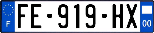 FE-919-HX