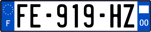 FE-919-HZ