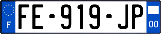 FE-919-JP