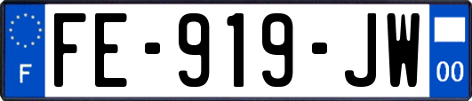 FE-919-JW