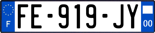 FE-919-JY