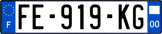 FE-919-KG