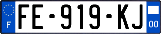 FE-919-KJ