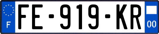 FE-919-KR