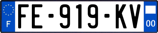 FE-919-KV