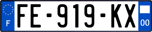 FE-919-KX