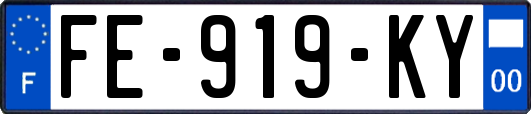 FE-919-KY