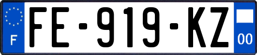 FE-919-KZ