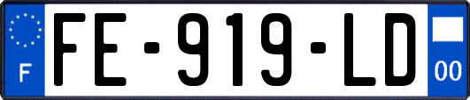 FE-919-LD