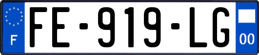 FE-919-LG