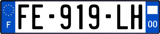 FE-919-LH