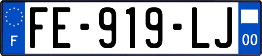 FE-919-LJ