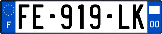 FE-919-LK