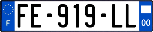 FE-919-LL