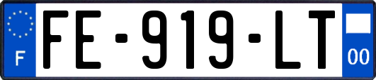 FE-919-LT