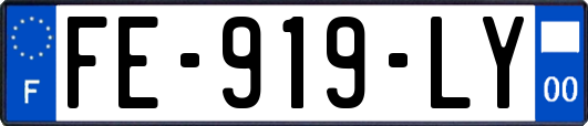 FE-919-LY