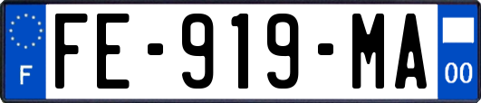 FE-919-MA