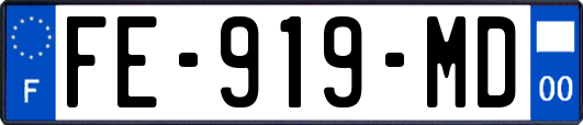 FE-919-MD