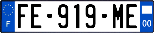 FE-919-ME