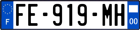 FE-919-MH