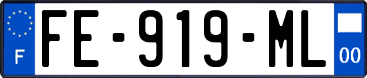 FE-919-ML