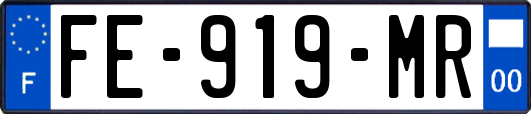 FE-919-MR
