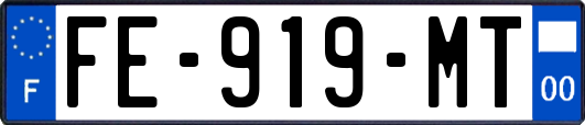 FE-919-MT