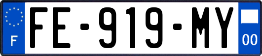 FE-919-MY