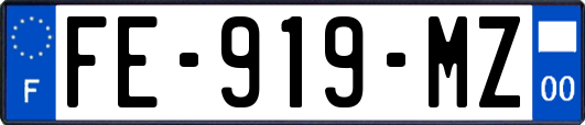 FE-919-MZ