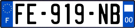 FE-919-NB