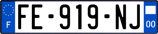FE-919-NJ