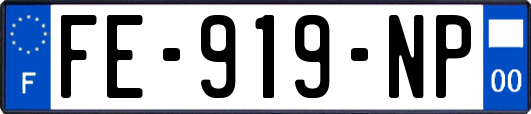 FE-919-NP