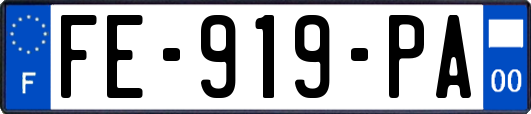 FE-919-PA