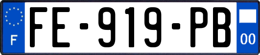 FE-919-PB