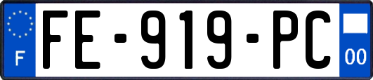 FE-919-PC