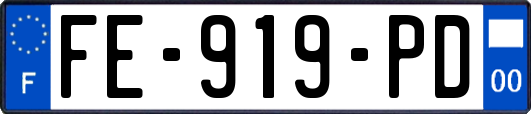 FE-919-PD