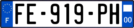 FE-919-PH