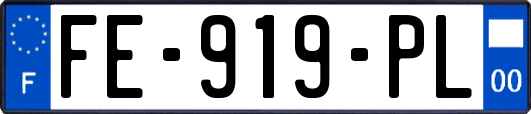 FE-919-PL